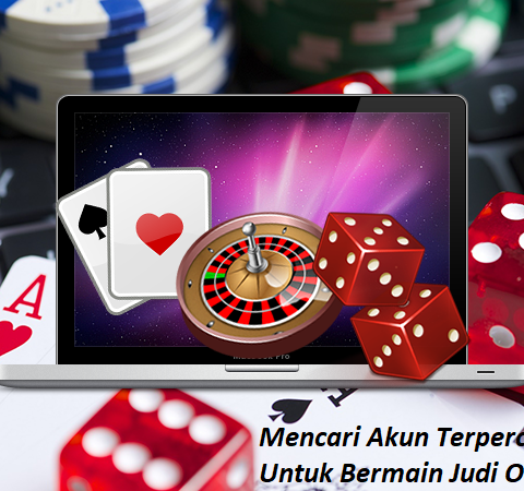 Mencari Akun Terpercaya Untuk Bermain Judi Online